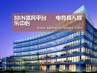 案例展示五