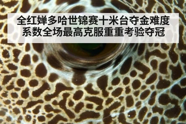 全红婵多哈世锦赛十米台夺金难度系数全场最高克服重重考验夺冠